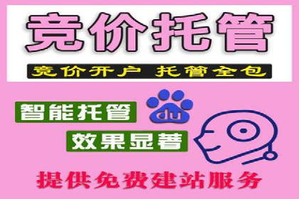 案例解析：竞价推广代运营如何优化广告投放
